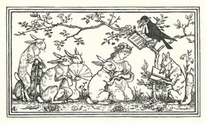 The Rabbit