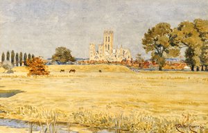 Canterbury Cathedral from the Meadows