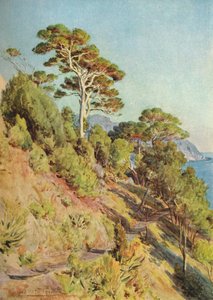 In the Villa Piuma, Sestri Levante