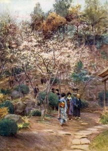 Plum Trees at Atami