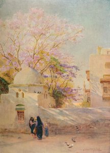 The Jacaranda, c1905, 1912