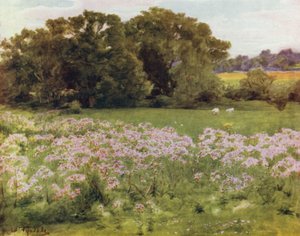 The New Forest: Riversdale, Boldre by Walter Frederick Roofe Tyndale