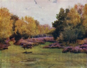 The New Forest: Rushpole Wood, Lyndhurst by Walter Frederick Roofe Tyndale