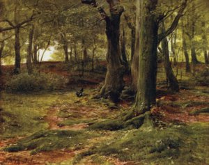 The New Forest: The Hill Woods, Lyndhurst by Walter Frederick Roofe Tyndale