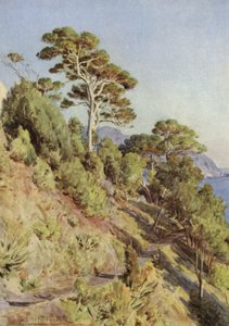 Villa Puma, Sestri Levante