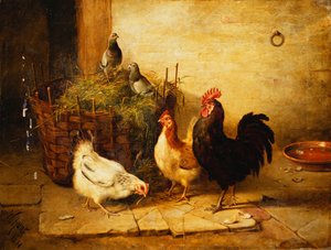 Poultry and Pigeons in an Interior