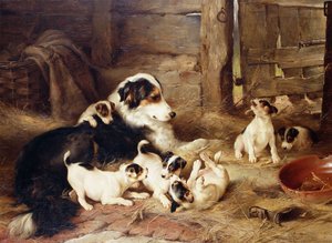 The Foster Mother
