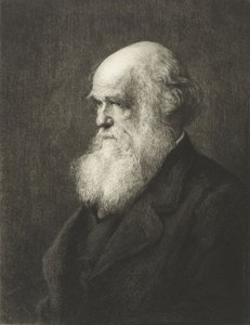 Charles Robert Darwin by Walter William (after) Ouless