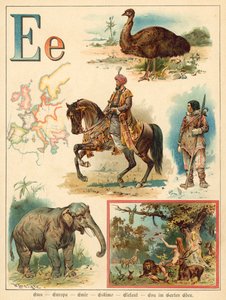 Letter E by Walter Zweigle