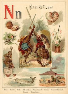 Letter N