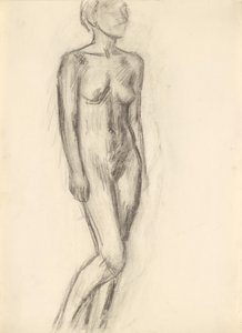 Study of a Nude