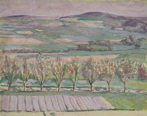 Tree Landscape