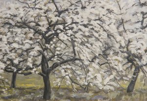 Blooming Fruit Trees