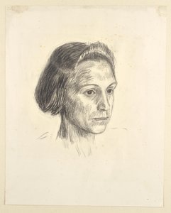 Portrait of a Lady by Walther Gamerith
