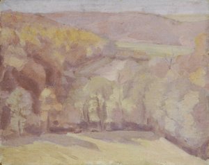Hilly Landscape