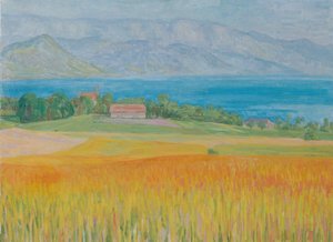 Cornfield at Attersee