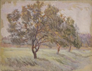 Fruit Trees