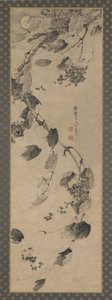 Grapevine in Wind and Moonlight
