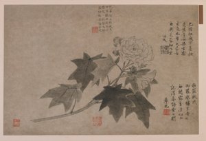 Hibiscus by Wang Yuan