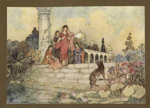 Plate 23: 