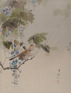 Birds and Flowers by Watanabe Seitei