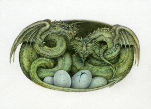 Amphisbaena by Wayne Anderson