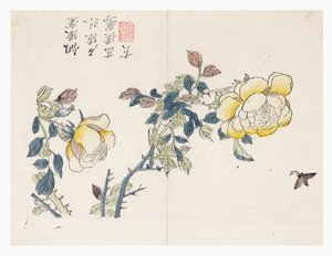 Mustard Seed Garden by Wen shu Chao