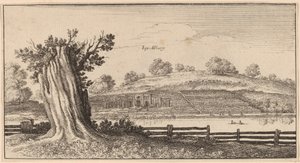 Albury by Wenceslaus Hollar