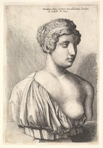 Antique bust of a woman by Wenceslaus Hollar