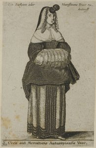 Antwerp Wife