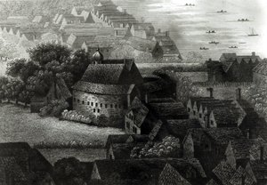 Bear Garden by Wenceslaus Hollar