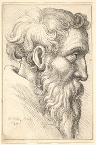 Bearded Old Man in Profile to Right by Wenceslaus Hollar