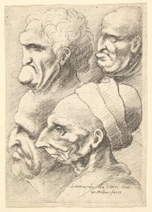 Four Grotesque Heads in Profile to Left by Wenceslaus Hollar