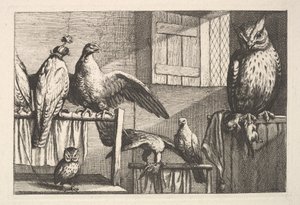 Hawks and owls, 1625-77 by Wenceslaus Hollar