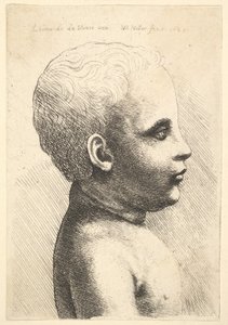 Head and shoulder of a child, in profile to right, 1645 by Wenceslaus Hollar
