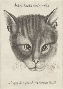 Head of a Cat by Wenceslaus Hollar