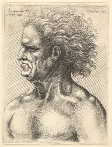 Head of a muscular old man in profile to left with flowing hair, 1625-77 by Wenceslaus Hollar