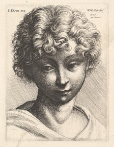 Head of a Young Girl, 1645 by Wenceslaus Hollar