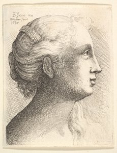 Head of a Young Woman in Profile to Right, 1645 by Wenceslaus Hollar
