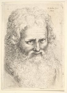 Head of an old man with a large beard by Wenceslaus Hollar