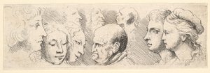 Head Studies