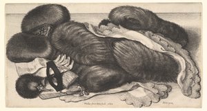 Muffs and Articles of Clothing on a Table by Wenceslaus Hollar