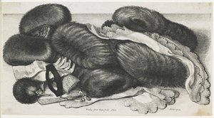 Muffs and Articles of Clothing on a Table