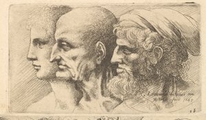Row of Three Heads in Profile to Left by Wenceslaus Hollar