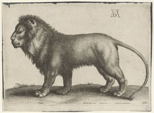 Standing Lion