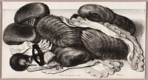 Still-Life with a Group of Muffs, a Pair of Gloves, and Two Kerchiefs