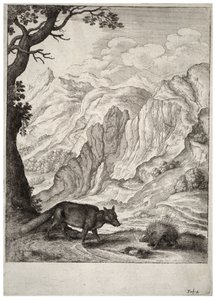 The fox and the porcupine (State 2) by Wenceslaus Hollar