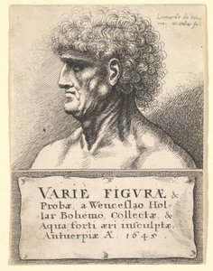 Title-page to Varie Figuræ & Probæ, 1645 by Wenceslaus Hollar