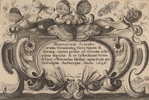 Title Page, 1646 by Wenceslaus Hollar