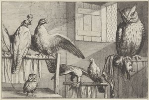 Falcons and owls in a barn (Various Birds series) by Wenceslaus Hollar